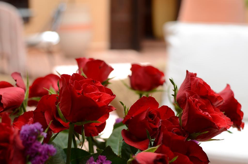 Riad Hadda Marakeş Dış mekan fotoğraf